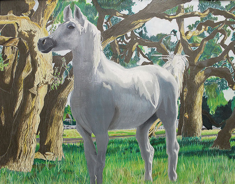 AISD-Livestock-Show-Art-Seventh-Place-Original