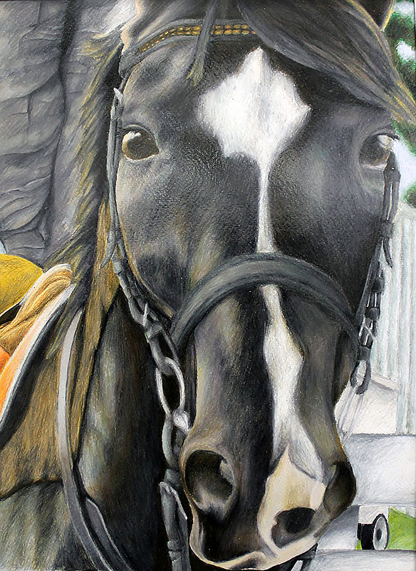 AISD-Livestock-Show-Art-Third-Place-Original