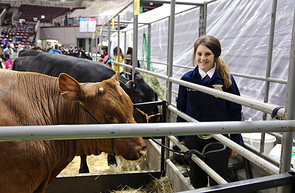 AISD-2015-Livestock-Show-and-Art-Contest-162B