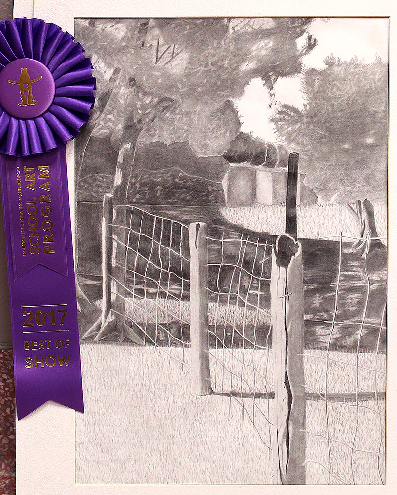 HLSR-2017-Winner-Plummer-Middle-A-Quiet-Country-Morning-Shellie-Phan-1